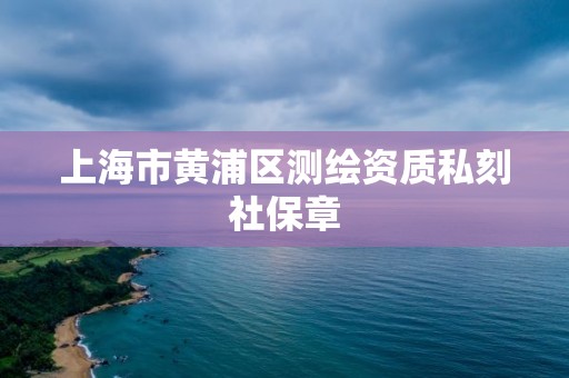 上海市黄浦区测绘资质私刻社保章