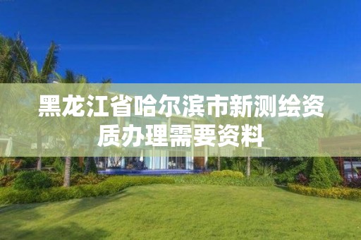 黑龙江省哈尔滨市新测绘资质办理需要资料