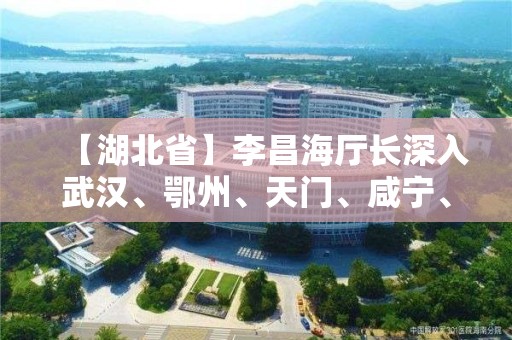 【湖北省】李昌海厅长深入武汉、鄂州、天门、咸宁、荆门检查社区（小区）封闭管理工作