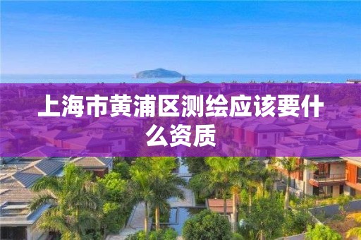 上海市黄浦区测绘应该要什么资质