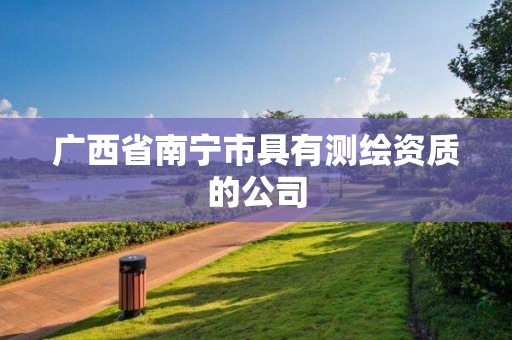 广西省南宁市具有测绘资质的公司