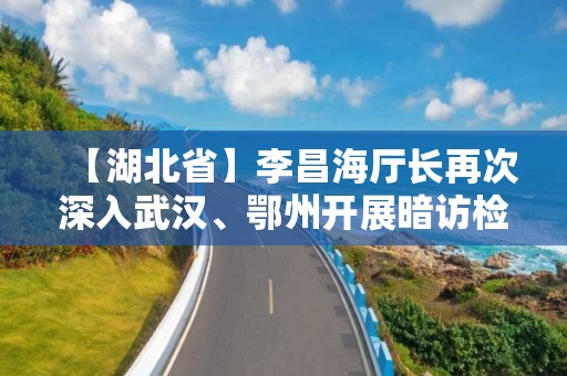 【湖北省】李昌海厅长再次深入武汉、鄂州开展暗访检查社区（小区）封闭管理工作