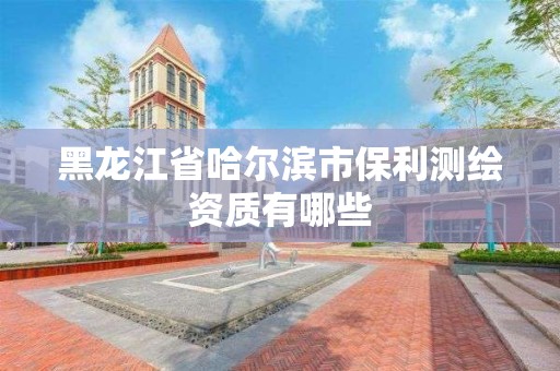 黑龙江省哈尔滨市保利测绘资质有哪些