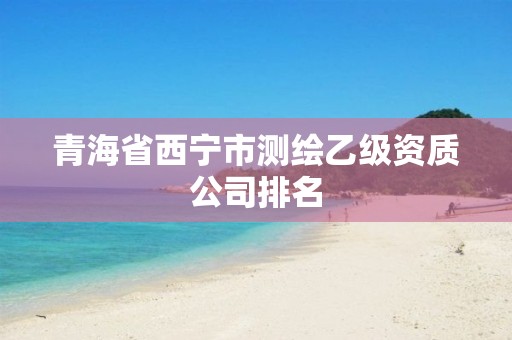 青海省西宁市测绘乙级资质公司排名