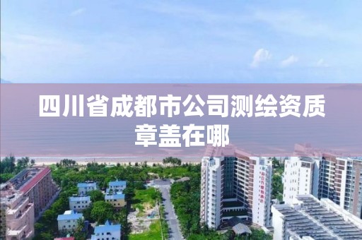 四川省成都市公司测绘资质章盖在哪