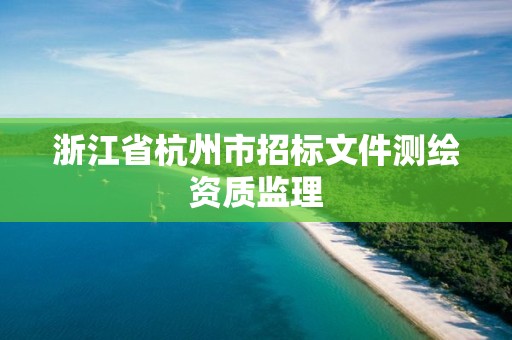 浙江省杭州市招标文件测绘资质监理