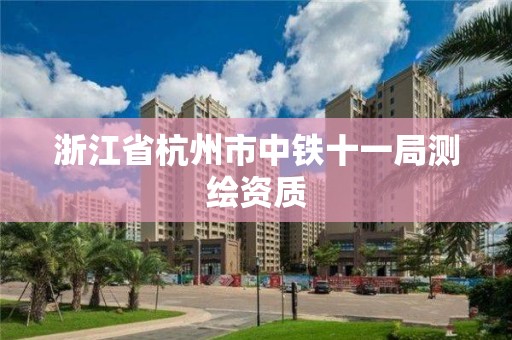 浙江省杭州市中铁十一局测绘资质