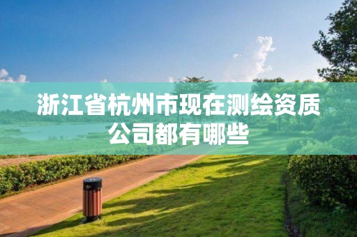 浙江省杭州市现在测绘资质公司都有哪些