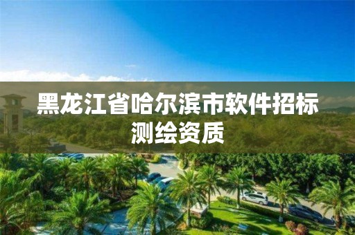 黑龙江省哈尔滨市软件招标测绘资质