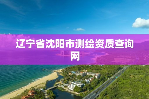 辽宁省沈阳市测绘资质查询网