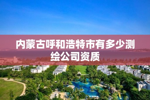 内蒙古呼和浩特市有多少测绘公司资质