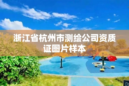 浙江省杭州市测绘公司资质证图片样本