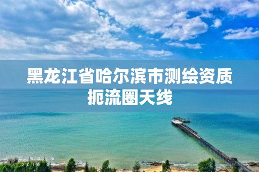 黑龙江省哈尔滨市测绘资质扼流圈天线