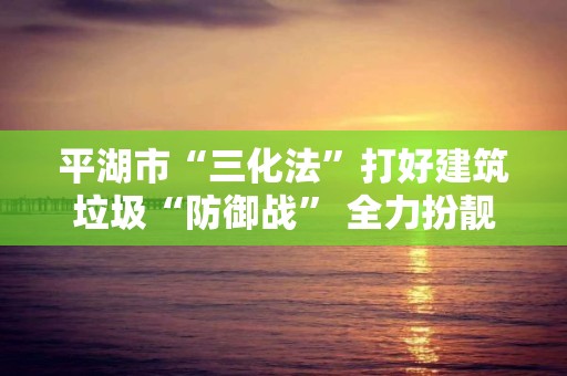 平湖市“三化法”打好建筑垃圾“防御战” 全力扮靓美丽田园城镇