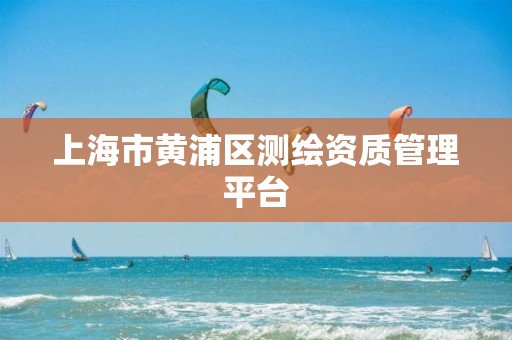 上海市黄浦区测绘资质管理平台