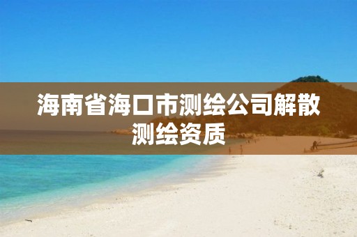 海南省海口市测绘公司解散测绘资质