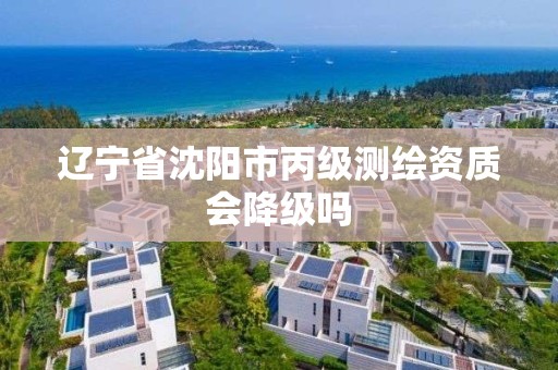 辽宁省沈阳市丙级测绘资质会降级吗