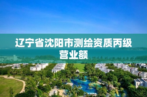 辽宁省沈阳市测绘资质丙级营业额