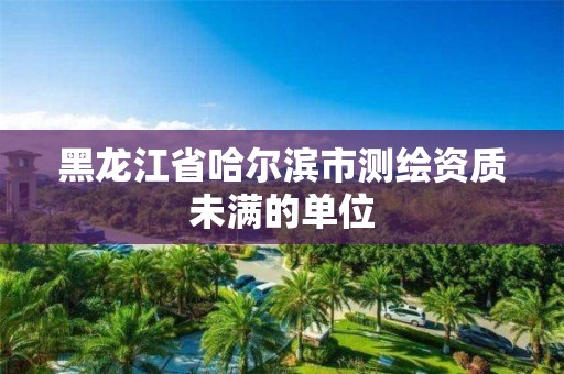 黑龙江省哈尔滨市测绘资质未满的单位