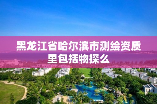 黑龙江省哈尔滨市测绘资质里包括物探么