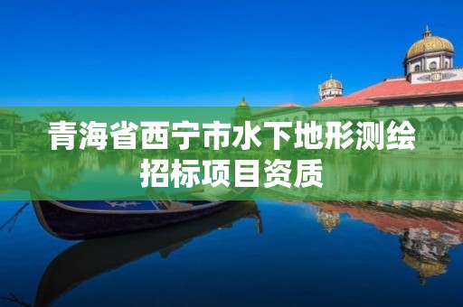 青海省西宁市水下地形测绘招标项目资质