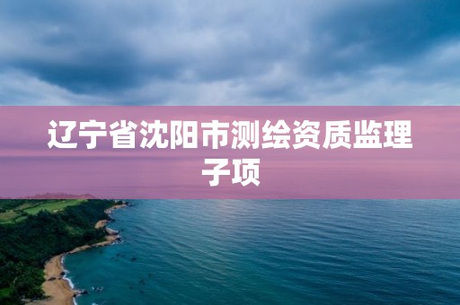 辽宁省沈阳市测绘资质监理子项