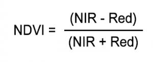 什么是NDVI（归一化植被指数）？