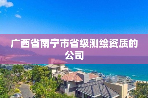 广西省南宁市省级测绘资质的公司