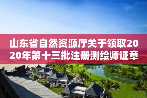 山东省自然资源厅关于领取2020年第十三批注册测绘师证章的公告