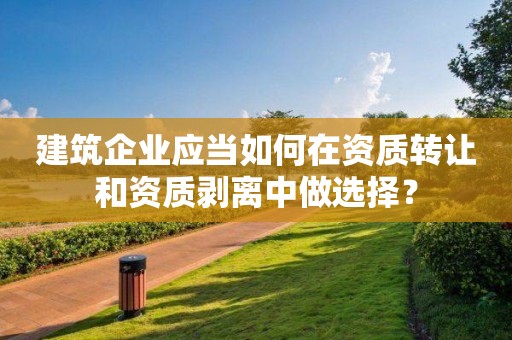 建筑企业应当如何在资质转让和资质剥离中做选择？