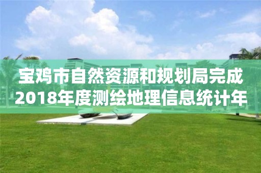 宝鸡市自然资源和规划局完成2018年度测绘地理信息统计年报工作