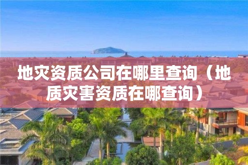 地灾资质公司在哪里查询（地质灾害资质在哪查询）