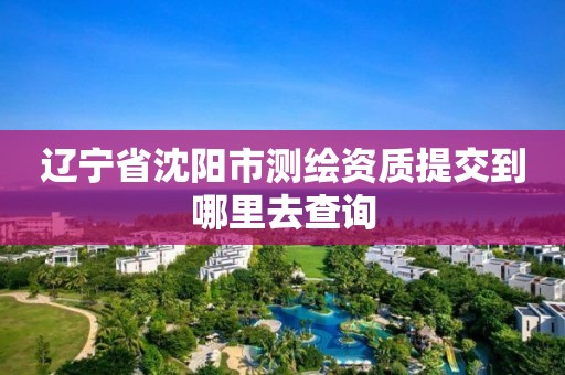 辽宁省沈阳市测绘资质提交到哪里去查询