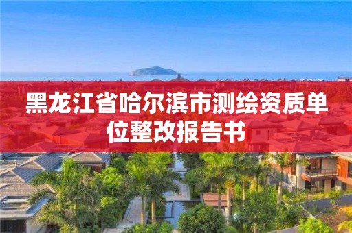 黑龙江省哈尔滨市测绘资质单位整改报告书