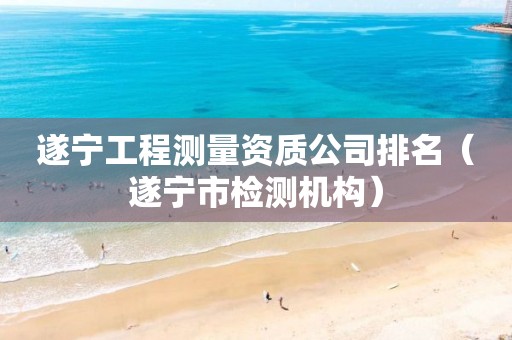 遂宁工程测量资质公司排名（遂宁市检测机构）