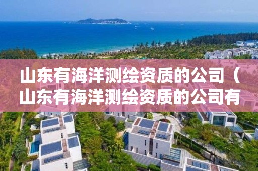 山东有海洋测绘资质的公司（山东有海洋测绘资质的公司有哪些）