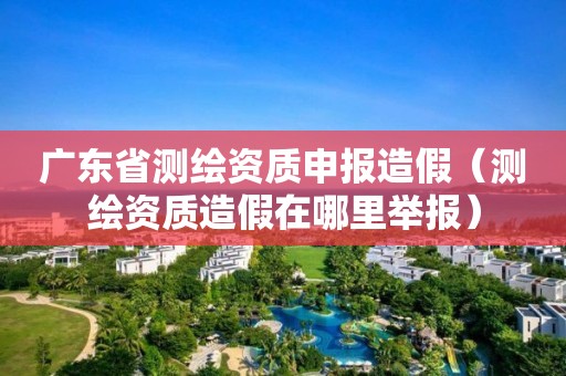 广东省测绘资质申报造假（测绘资质造假在哪里举报）