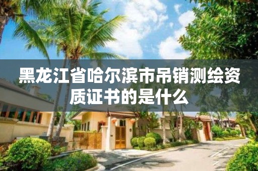 黑龙江省哈尔滨市吊销测绘资质证书的是什么