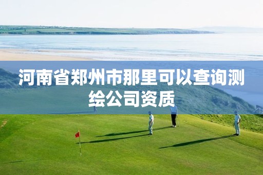 河南省郑州市那里可以查询测绘公司资质