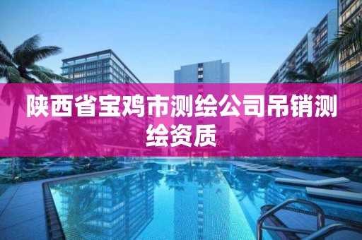 陕西省宝鸡市测绘公司吊销测绘资质