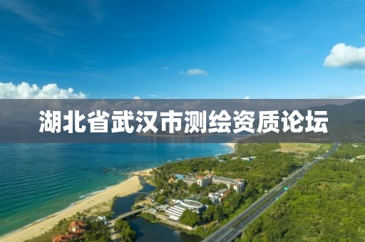 湖北省武汉市测绘资质论坛