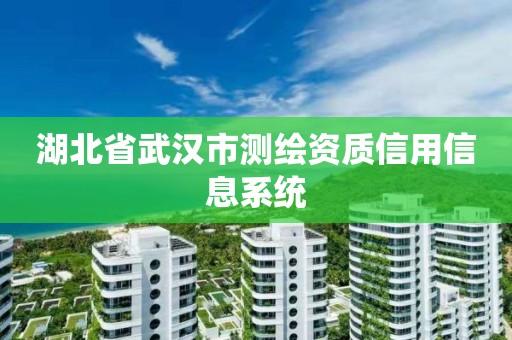 湖北省武汉市测绘资质信用信息系统