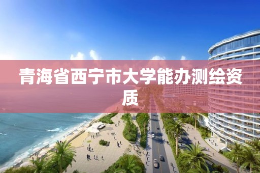 青海省西宁市大学能办测绘资质