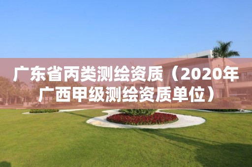 广东省丙类测绘资质（2020年广西甲级测绘资质单位）