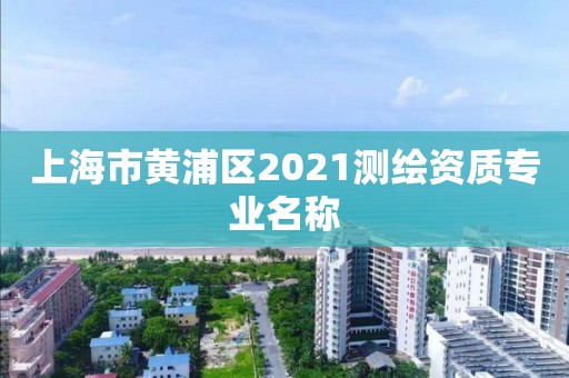 上海市黄浦区2021测绘资质专业名称