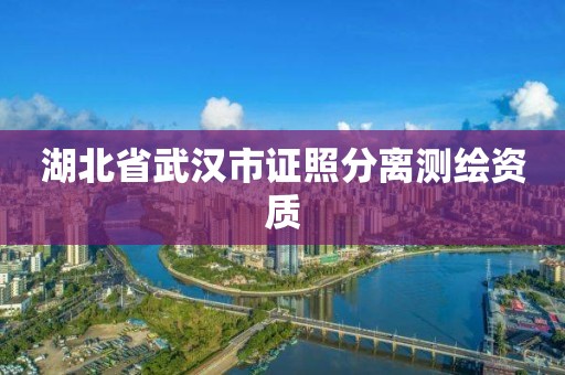 湖北省武汉市证照分离测绘资质