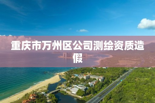 重庆市万州区公司测绘资质造假