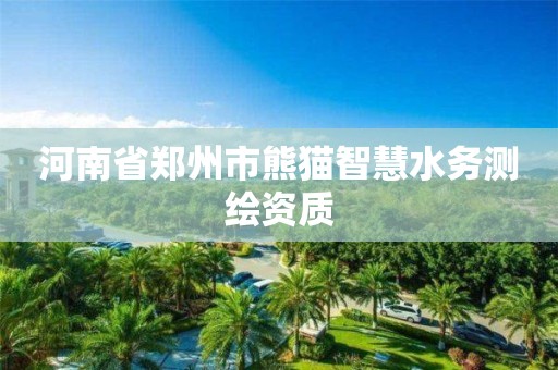 河南省郑州市熊猫智慧水务测绘资质