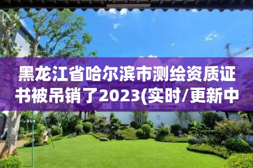 黑龙江省哈尔滨市测绘资质证书被吊销了2023(实时/更新中)