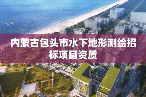 内蒙古包头市水下地形测绘招标项目资质